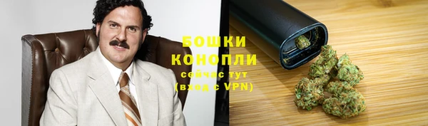 ALPHA PVP Осинники